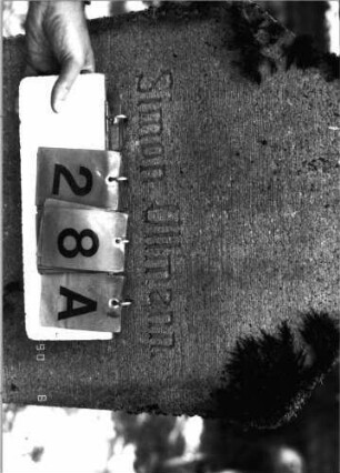 Grabstein 28 (Index: 99790123) Material: ? Zustand: sehr gut, Schrift rot Maße HxBxT: 121x55x17 cm Symbolik: Davidstern Besonderheit: vgl. Nr. 85: Grabstein 28A