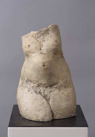Weiblicher Torso