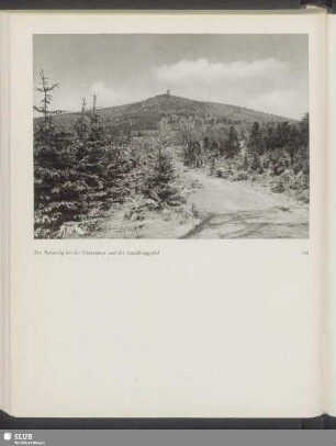 Der Rennsteig bei der Grenzwiese und der Inselsberggipfel