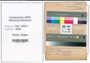 Entnazifizierung Walter Pelzer , geb. 08.08.1897 (Fachberater)