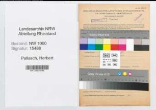 Entnazifizierung Herbert Pallasch, geb. 01.03.1913 (Postinspektor)