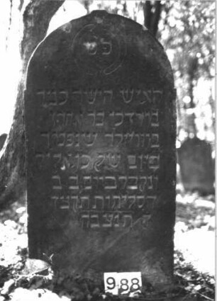 Grabstein 988 (Index: 99899543) Material: Sandstein Zustand: gut erhalten Maße HxBxT: 126x63x7 cm Beschreibung: Stele mit Rundbogenabschluss: Grabstein 988