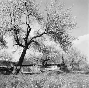 Spreewald. Historisches Wohnhaus