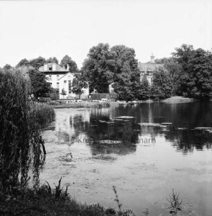 Mühlenteich: Blick von Süden Am Mühlenteich auf gegenüberliegendes Ufer: hinten links zwischen Bäumen Elektriziätswerk Reinbek-Wentorf GmbH [später: e-werk Sachsenwald]: hinten rechts Schloss Reinbek hinter Bäumen: links Baumzweige