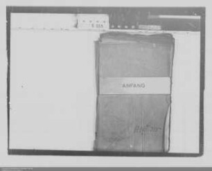 . Aushandlung eines Erbvereins zwischen Oranien-Nassau ('Nassau-Breda') und Nassau-Katzenelnbogen ('Nassau-Dillenburg'): Band 2