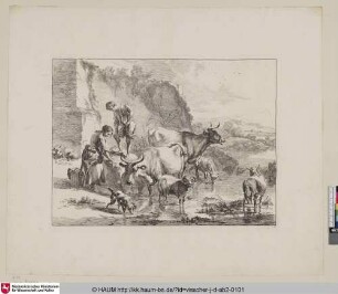 [Ein Weib, welches die Wäsche trocknet; Washerwoman drying clothes in the sun]