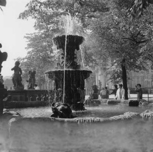 Dresden. Zwinger, Nymphenbad, Brunnen auf dem Walle