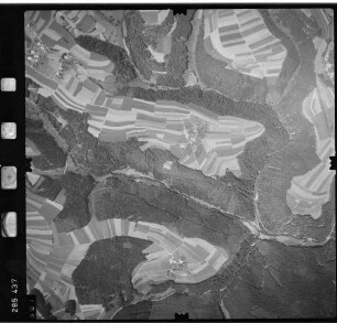 Luftbild: Film 72 Bildnr. 501