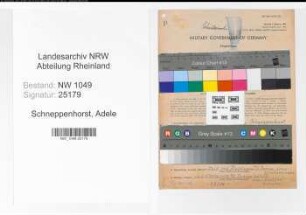 Entnazifizierung Adele Schneppenhorst , geb. 03.06.1892 (Lehrerin)