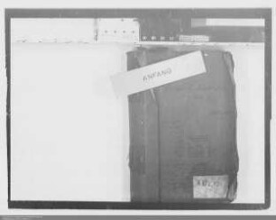 . Lehen der Grafen von Nassau-Beilstein und Nassau-Katzenelnbogen von Kurköln: Band 2
