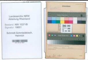 Entnazifizierung Heinrich Schmidt-Schmiedebach , geb. 11.08.1905 (Reg.Rat)