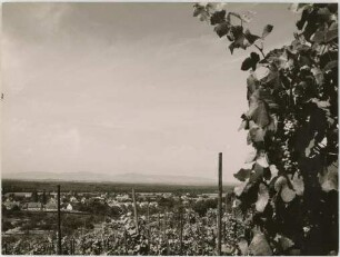 Gundelfingen im August
