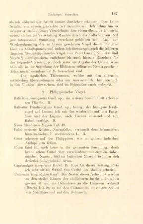 2. Philippinische Vögel