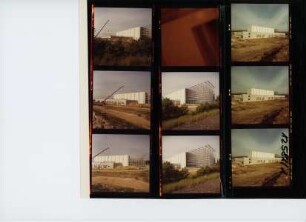Milupa, 1981