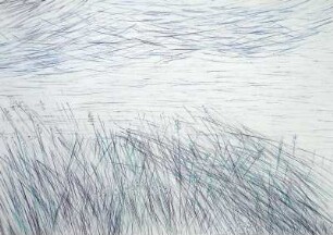 Gras im Wind