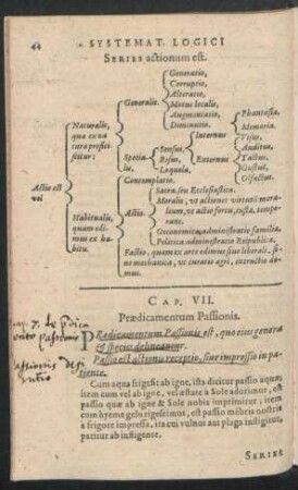 Cap. VII. Praedicamentum Passionis.