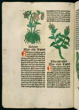 92v-93r, Yfen oder ebich (163. Kapitel)