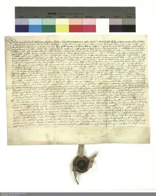 Revers Hermann Wilhelms von Wildungen bezüglich der Belehnung mit einem Sitz in Motzlar und weiteren im Einzelnen aufgeführten Lehen durch Placidus [von Droste], Abt von Fulda