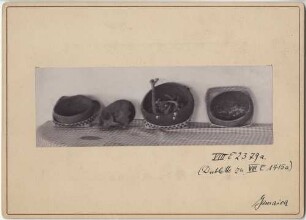 Tongefäße und Gebeine