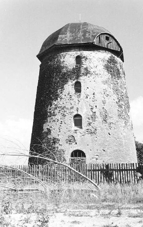 Schildau, Geneisenaustadt-Sitzenroda. Turmholländer, Thomas-Müntzer-Str. 166