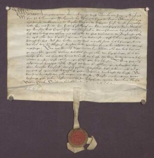 Der Propst zu Ellwangen belehnt den Kurfürsten von der Pfalz bzw. dessen Lehnsträger mit der Burg Strahlenberg, der Stadt Schriesheim sowie zugehörigen Gütern und Gerechtsamen.