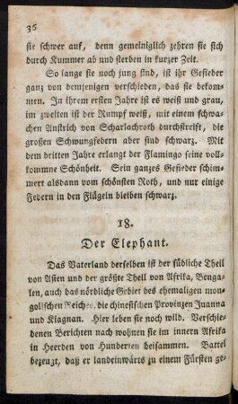 18. Der Elephant