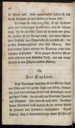 18. Der Elephant