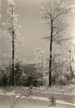 Oberlausitz. Durchblick vom Valtenberg (580 m) auf Neukirch
