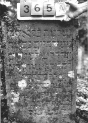 Grabstein 365 (Index: 99799698) Material: Sandstein Zustand: stark verwittert Maße HxBxT: 96x61x8 cm Beschreibung: Stele, eingezogener Korbbogenabschluß, Schriftfeld eingetieft: Grabstein 365A