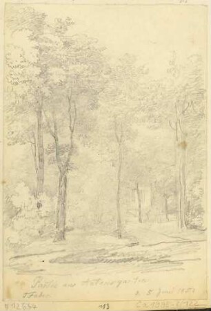 Partie aus Prinz Anton-Garten an der Bürgerwiese in Dresden