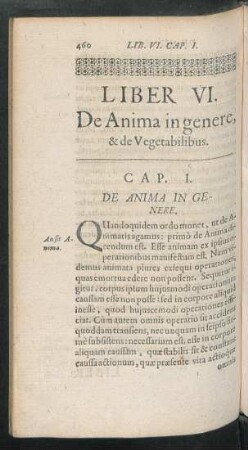 Liber VI. De Anima in genere, & de Vegetabilibus