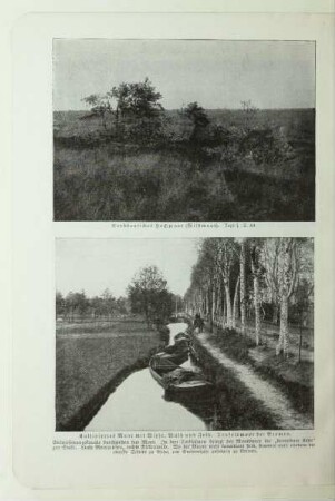 Norddeutsches Hochmoor (Wildmoor). Text s. S. 49