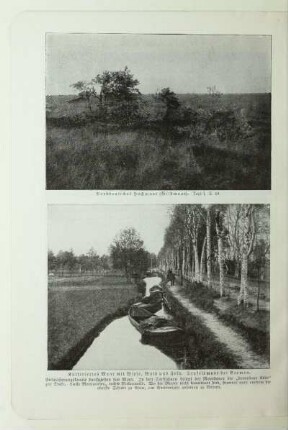 Norddeutsches Hochmoor (Wildmoor). Text s. S. 49