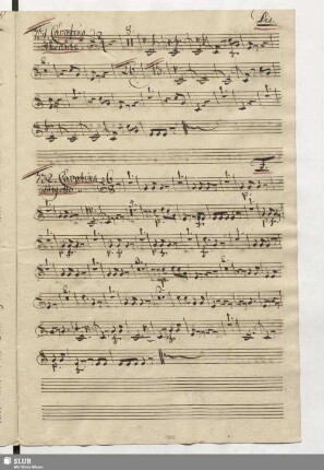 732. Cavatina: Amor non sò che sia / Paisiello, G.