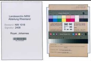 Entnazifizierung Johannes Royer , geb. 11.02.1895 (Landwirt)