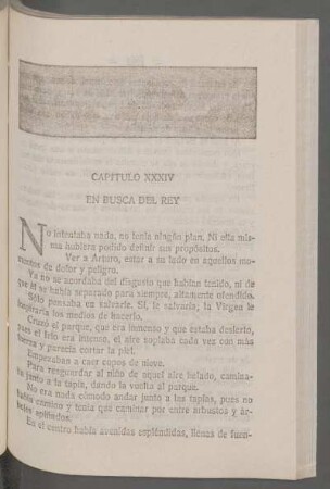 Capítulo XXXIV - En busca del rey