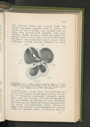 Abb. 145.