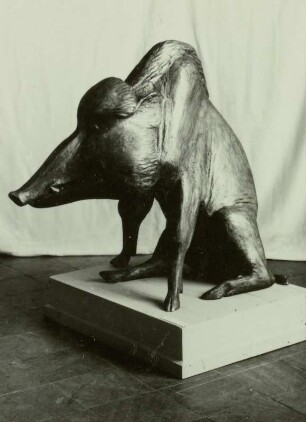 Wildschwein