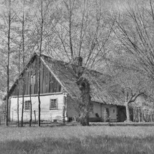 Strohgedecktes Blockhaus des Gehöftes Löwa in Burg-Kauper. : Ze słomu skryte kładźity twar Löwec statoka w Kupaŕskich Bórkowach.