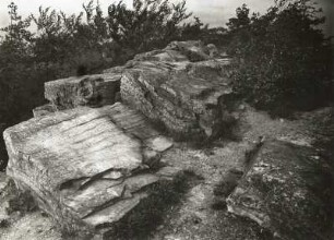 Oberlausitz. Hohe Dubrau nordwestlich Großradisch. Quarzitische Gipfelklippen (Ordovizium)