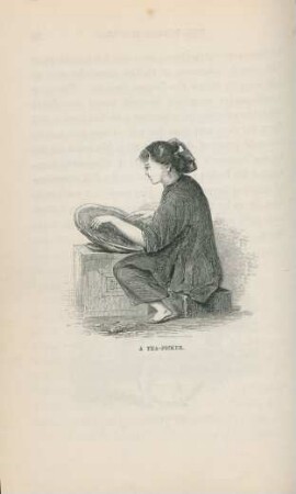 A tea-picker