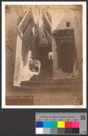 Rue du Chameau. Alger