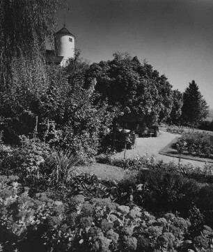 Archivfotografie "neckar_bad-wimpfen_on01"