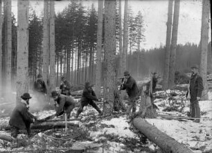 Holzfäller bei der Arbeit : Steinbach im Erzgebirge. Im Holzschlag. Förster mit Kluppe