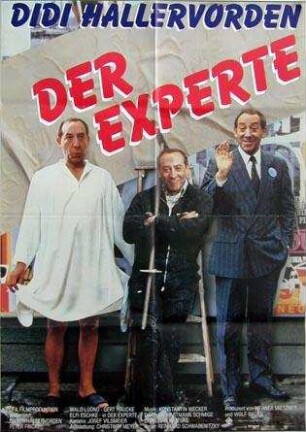 Didi - Der Experte