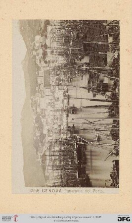 3558. Panorama del Porto