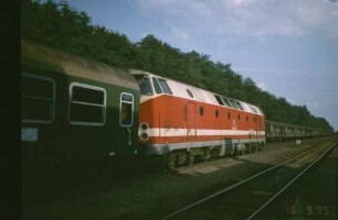 Groß Behnitz Schublok 219 060 Nahverkehrszug B-RN