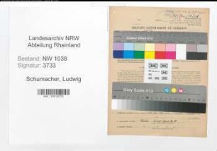 Entnazifizierung Ludwig Schumacher , geb. 14.11.1906 (Vermesser)