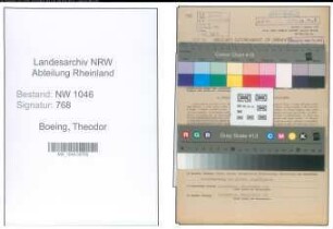 Entnazifizierung Theodor Boeing , geb. 04.04.1903 (Angestellter)
