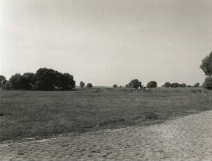 Mittelelbniederung. Elbauenlandschaft bei Klöden (Kreis Jessen). Blick nach Westen gegen Elbe und deich